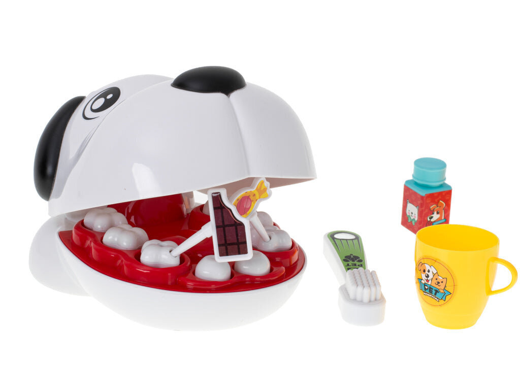 Õppekomplekt Pet Dentist KidsPro цена и информация | Arendavad mänguasjad | kaup24.ee