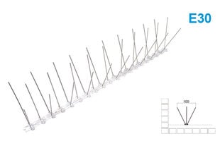 Naelud lindude tõrjumiseks 50x11x2,2cm StoreGd hind ja info | Närilised, mutid | kaup24.ee