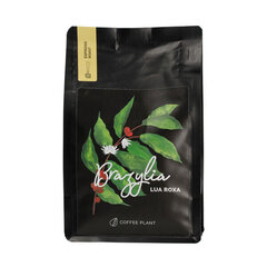 Coffee Plant Brazilian Lua Roxa jahvatatud kohv, 250g hind ja info | Kohv, kakao | kaup24.ee