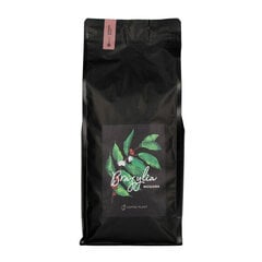 Coffee Plant Mogiana jahvatatud kohv, 1 kg hind ja info | Kohv, kakao | kaup24.ee