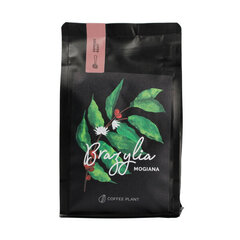 Coffee Plant Brazilian Mogiana jahvatatud kohv, 250g hind ja info | Kohv, kakao | kaup24.ee