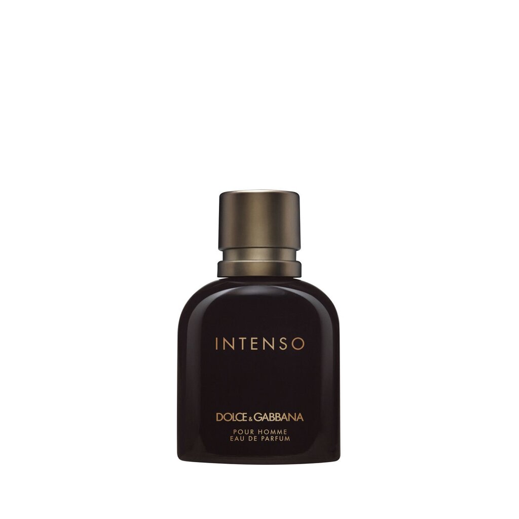 Parfüümvesi Dolce&Gabbana Intenso Pour Homme EDP meestele 40 ml цена и информация | Meeste parfüümid | kaup24.ee