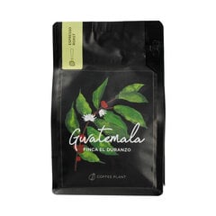 GUATEMALA FINCA El DURANZO Espresso - 250g COFFEE PLANT цена и информация | Кофе, какао | kaup24.ee