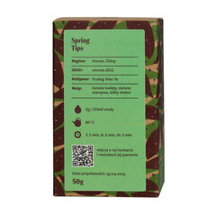 Teasome Spring Tips roheline tee, 50g hind ja info | Tee | kaup24.ee