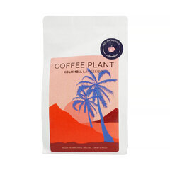 Coffee Plant La Reserva jahvatatud kohv, 250g hind ja info | Kohv, kakao | kaup24.ee