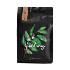 Coffee Plant Honduras jahvatatud kohv, 250g hind ja info | Kohv, kakao | kaup24.ee