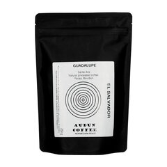 Audun Premium El Salvador Guadalupe Natural Filter Coffee 250g цена и информация | Кофе, какао | kaup24.ee