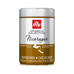 illy Arabica Selection jahvatatud kohv, 250g hind ja info | Kohv, kakao | kaup24.ee