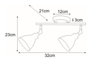 Laevalgusti V-8005-2 WH hind ja info | Laelambid | kaup24.ee