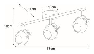 Laevalgusti V-8002-3 Chr hind ja info | Laelambid | kaup24.ee