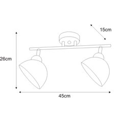 Laevalgusti V-JSL-1306/2W hind ja info | Laelambid | kaup24.ee