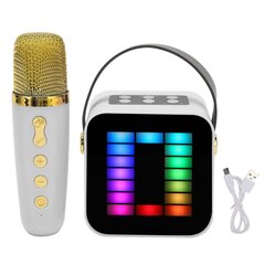 Mini karaokemasina komplekt RGB Pickup Light digitaalne töötlemiskiip käeshoitav kaasaskantav Bluetooth-kõlar valge mikrofoniga hind ja info | Kõlarid | kaup24.ee