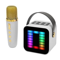 Mini karaokemasina komplekt RGB Pickup Light digitaalne töötlemiskiip käeshoitav kaasaskantav Bluetooth-kõlar valge mikrofoniga hind ja info | Kõlarid | kaup24.ee