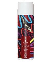 Looduslik šampoon kofeiiniga Bioturm 200 ml hind ja info | Šampoonid | kaup24.ee