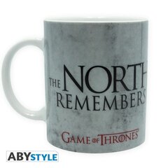 ABYstyle Game of Thrones The North Remembers hind ja info | Fännitooted mänguritele | kaup24.ee