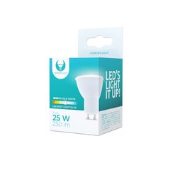 LED Bulb GU10 3W 230V 6000K 250lm Forever Light цена и информация | Лампочки | kaup24.ee