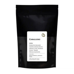 Tim Wendelboe Geisha jahvatatud kohv, 250g hind ja info | Kohv, kakao | kaup24.ee