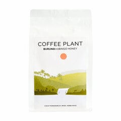 Coffee Plant Burundi Kibingo jahvatatud kohv, 250g hind ja info | Kohv, kakao | kaup24.ee