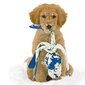 Kong mänguasi koertele Wubba hind ja info | Mänguasjad koertele | kaup24.ee