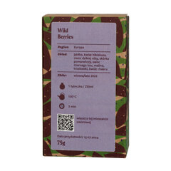 Teasome Wild Berries puuvilja tee, 75g hind ja info | Tee | kaup24.ee