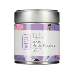 Mount Everest Tea Matcha roheline tee, 40g hind ja info | Tee | kaup24.ee