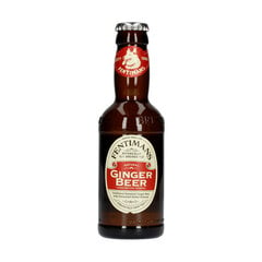 Karastusjook Fentimans Ginger, 200ml hind ja info | Maiustused | kaup24.ee