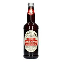 Karastusjook Fentimans Imbierinissu, 500ml hind ja info | Maiustused | kaup24.ee