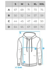 Мужская толстовка Ombre OM-SSZP-0140 цена и информация | Мужские толстовки | kaup24.ee