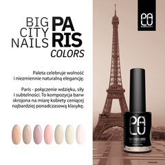 PALU Hybrid Lacquer Paris N5 - 11g цена и информация | Лаки для ногтей, укрепители для ногтей | kaup24.ee