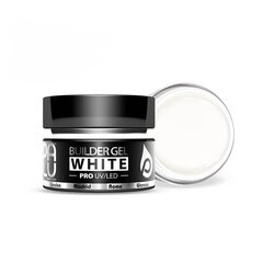 PALU BUILDING GEL WHITE 15 g цена и информация | Лаки для ногтей, укрепители для ногтей | kaup24.ee