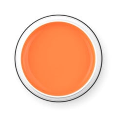 PALU PRO LIGHT BUILDER PEACHY GEL 45 g цена и информация | Лаки для ногтей, укрепители для ногтей | kaup24.ee