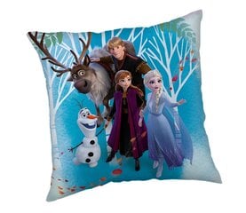 Jerry Fabrics dekoratiivpadi Frozen 02 Family hind ja info | Dekoratiivpadjad ja padjakatted | kaup24.ee