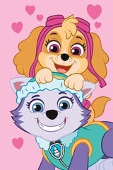 Jerry Fabrics детское плед Paw Patrol PP518, 100x150 см цена и информация | Покрывала, пледы | kaup24.ee