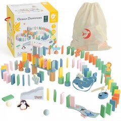 Puidust Montessori doominokomplekt Classic World, 100 tk hind ja info | Imikute mänguasjad | kaup24.ee