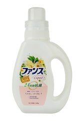 Daiichi Funs Pesugeel 800ml hind ja info | Pesuvahendid | kaup24.ee