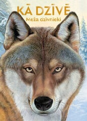 Kā dzīvē. Mežā dzīvnieki цена и информация | Книги для подростков и молодежи | kaup24.ee