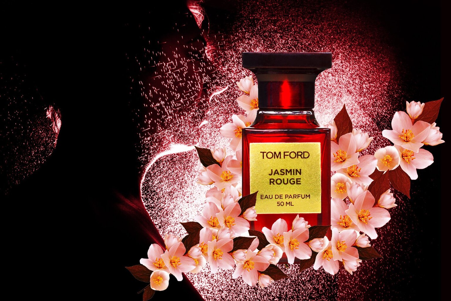 Parfüümvesi Tom Ford Jasmin Rouge EDP naistele/meestele 100 ml цена и информация | Naiste parfüümid | kaup24.ee
