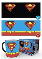 DC Comics Superman Costume hind ja info | Fännitooted mänguritele | kaup24.ee