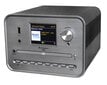 soundmaster ICD1050SW CD-mängija Hõbedane Interneti-raadio, DAB+, Wi-Fi, USB, Kõlarid цена и информация | Muusikakeskused | kaup24.ee