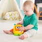 Emotsioonidega koletis koos helidega Fisher Price, DRG13 цена и информация | Imikute mänguasjad | kaup24.ee