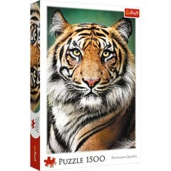 CUBIL PUZZLE 1500 tükki - Tiigri portree 26204 hind ja info | Lauamängud ja mõistatused | kaup24.ee