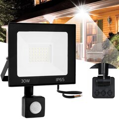 Halogeeni led motion sensor 30W RSL007-30NS hind ja info | Süvistatavad ja LED valgustid | kaup24.ee