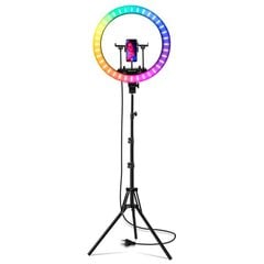 Rõngakujuline LED lamp reguleeritava statiiviga 50W, RGB + CCT, Ø 44,5 cm hind ja info | Fotovalgustuse seadmed | kaup24.ee