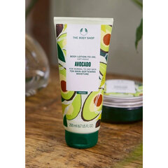 Kehakreem The Body Shop Avokaado, 200 ml hind ja info | Kehakreemid, kehaspreid | kaup24.ee