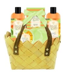 Kosmeetikakomplekt Aurora Mango & Pear: dušigeel, 300 ml + šampoon, 300 ml + seep, 100 g + kehakreem, 50 ml + kehakäsn + kott hind ja info | Kehakreemid, kehaspreid | kaup24.ee