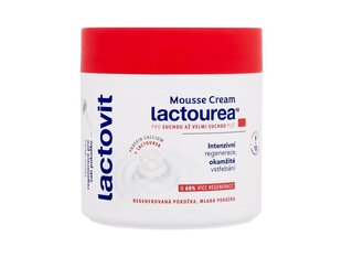 Lactovit 24 Hour Lasting Moisturising Mousse for Dry and Very Dry Skin 400ml цена и информация | Кремы, лосьоны для тела | kaup24.ee