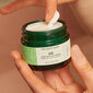 Näokreem The Body Shop Aloe Vera Soothing day cream, 50 ml hind ja info | Näokreemid | kaup24.ee