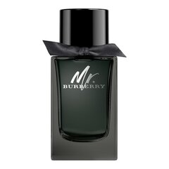 Lõhnavesi Burberry Mr. Burberry EDP meestele, 100 ml hind ja info | Meeste parfüümid | kaup24.ee