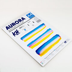 Akvarellialbum AURORA A4, 300gsm 12 lehte, Külmpressitud (Spiraal) hind ja info | Vihikud, märkmikud ja paberikaubad | kaup24.ee