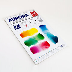 Akvarellialbum AURORA A4, 300gsm 12 lehte, Kuumpressitud (Spiraal) hind ja info | Vihikud, märkmikud ja paberikaubad | kaup24.ee